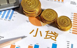 上海个人个人贷款都有哪些-上海个人民间借贷款-上海个人身份证抵押贷款